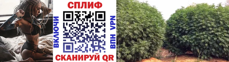 Наркота Кудымкар Каннабис  Cocaine  СК  Меф мяу мяу 