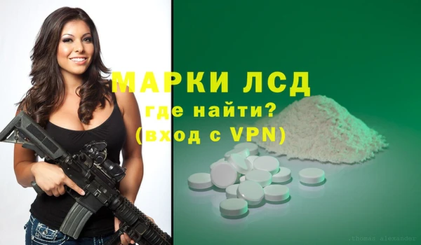 шишки Богородск