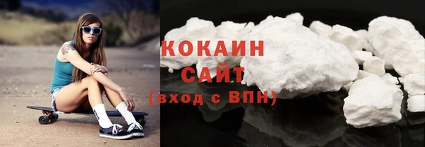 шишки Богородск