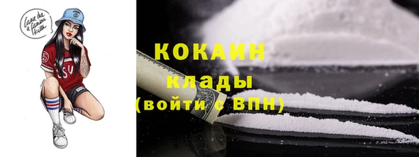 шишки Богородск