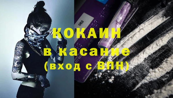 шишки Богородск
