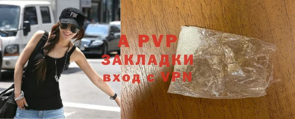 круглые Гусев