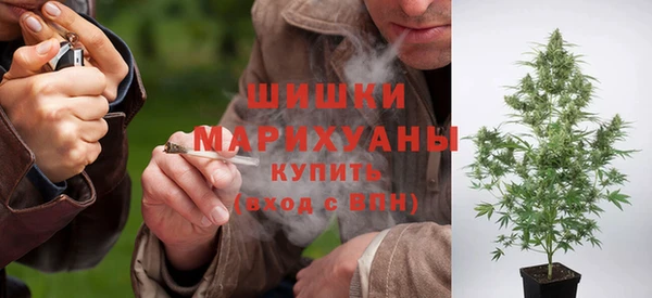 мяу мяу кристалл Богданович